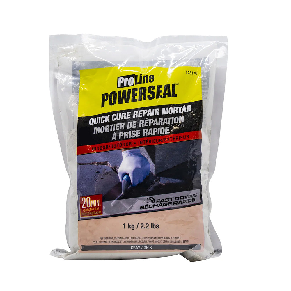 Proline Quick Cure Pre-Mixed Repair Mortar 1kg - Gray