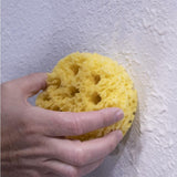 Marshalltown Texture Repair Sponges